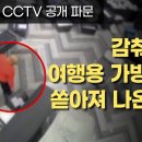 미국 부정선거, 빼박증거 나왔다! 이미지