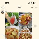 황복농장 이미지