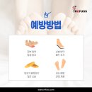 레푸스 범어점 이미지