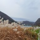 춘천세종관광호텔 이미지