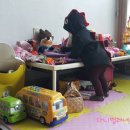 꼬꼬언니 이미지