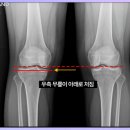 올리본의원 이미지