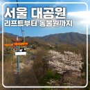 대일카랜드2호점 | 서울 대공원 제대로 즐기기 - 동물원 리프트 패키지 이용 후기 및 봄 나들이 루트 추천(+서울랜드)