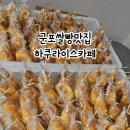 하쿠라이스카페