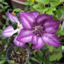 가람농원 이미지