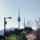 남산공원길1 이미지