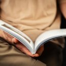 베리의모험