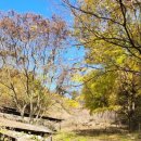 논산목장 이미지