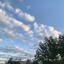 무순소세지 이미지