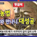 경농사 네이버블로그
