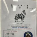 올리스 일산백석점 이미지