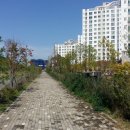 불당호반베르디움더퍼스트아파트 이미지