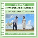 화학산등산로 이미지