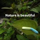 송하초등학교 | 하나에 굶지 둘 말자