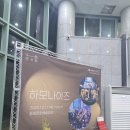 노래에빠진사람들 | 동해 행사)하모나이즈 공연 후기: 젬베 울림에 빠진 밤