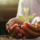 조비농장 이미지