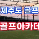 홀썸골프