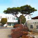 봉화산 솔바람길 이미지