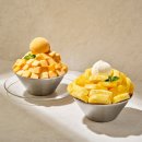 신라스테이플러스 이호테우 이미지