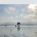 화요 영재퀴즈~ 이미지