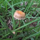 황토목장 이미지