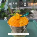 제주웨스트 | [제주 여행] 웨스트그라운드ㅣ제주시 실내정원 카페, 제주애플망고빙수 솔직후기 (+귀여운 고양이들...