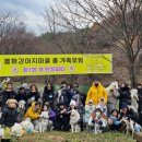 봉화강아지마을 이미지