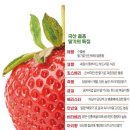 채우리딸기