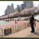 중랑천길 이미지