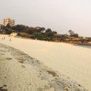 쿠지 홀리데이 이미지