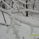 (주)그린웨이 이미지