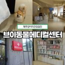 제주동물메디컬센터 | [제주강아지건강검진] 안심하고 다녀온 브이동물메디컬센터 당일 검진 후기