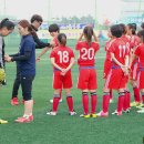2014 전국소년체육대회 여자축구 초등부 4강전 인천백학vs울산서부 (1) 이미지