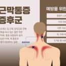 날개뼈 통증으로 의심해 볼 수 있는 질환 3가지 왼쪽 오른쪽 견갑골(어깨) 통증 이미지