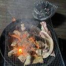 둔터로 | 충주 글램핑 펫트리파크글램핑 찐후기 내돈내산