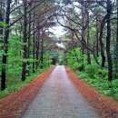 흑성산약수 이미지