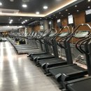 에브리데이짐 이미지