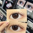 하파크리스틴 올리브영 센트럴강남타운점 이미지