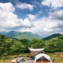 특별하개 이미지