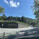 정포로 산벚나무길 | (가평군) 대한민국 최초 자연휴양림 - 국립유명산자연휴양림 산벚나무 후기