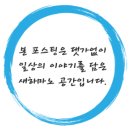 분당-363 이미지