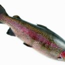 웰빙수산물 이미지