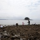 바다가아름다운집 이미지