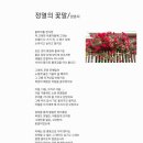 정열