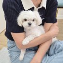 기아세차장 | 창원 세차장 추천! 합리적인 가격으로 만족한 창원 스팀세차, 기아 니로 하이브리드 손세차 ABC스팀...