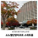 노벨전자 | 단풍 시즌엔 무조건 여기 소노벨단양리조트 스위트룸 솔직 후기