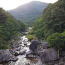 무릉회관 이미지