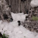 송암 행정사 사무소 이미지