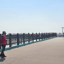 경기둘레길 화성48코스 이미지