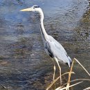 성내천공원 이미지